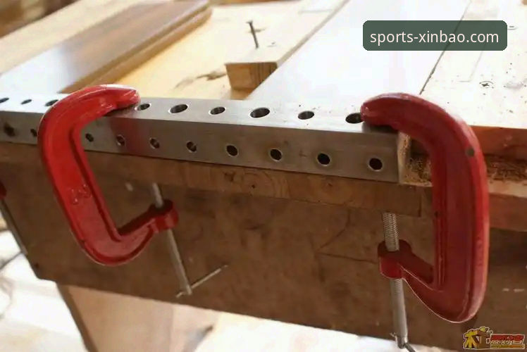 新宝体育苹果版下载与使用全指南：从安装到深度体验